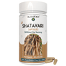 Bloofah Shatavari Root Capsules 500mg | 10:1 Extract Powder Per Serving 5000mg | Premium Herbal Supplement | Natural Asparagus racemosus for General Vitality | Non-GMO, Gluten-Free - Bloofah