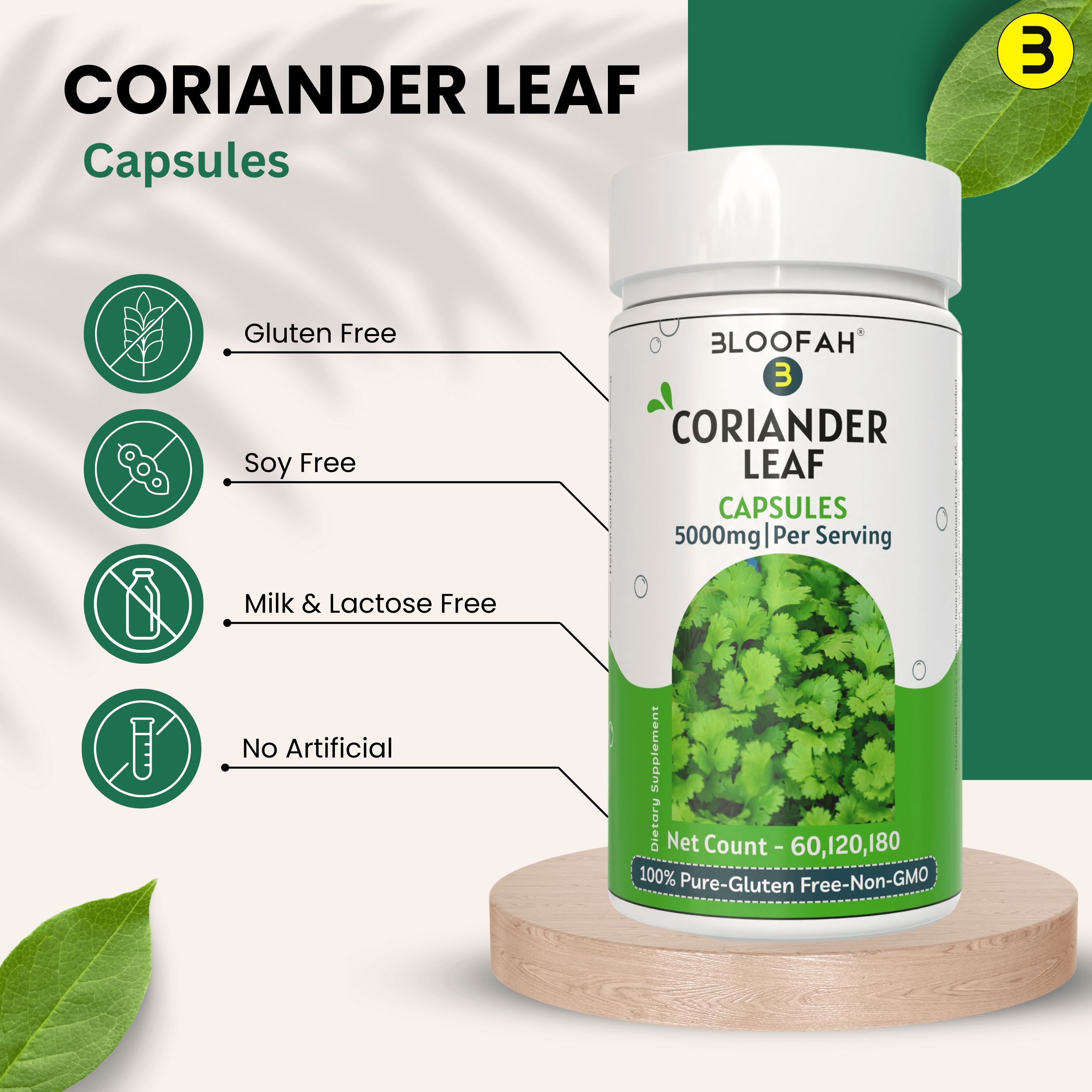 Bloofah Coriander Leaf Extract Capsules 500mg | Pure Coriander (Coriandrum sativum) Leaf Powder Extra Stength 5000mg Per Serving | Rich Vitamin A & C | Natural Body Cleansing & Detox - Bloofah