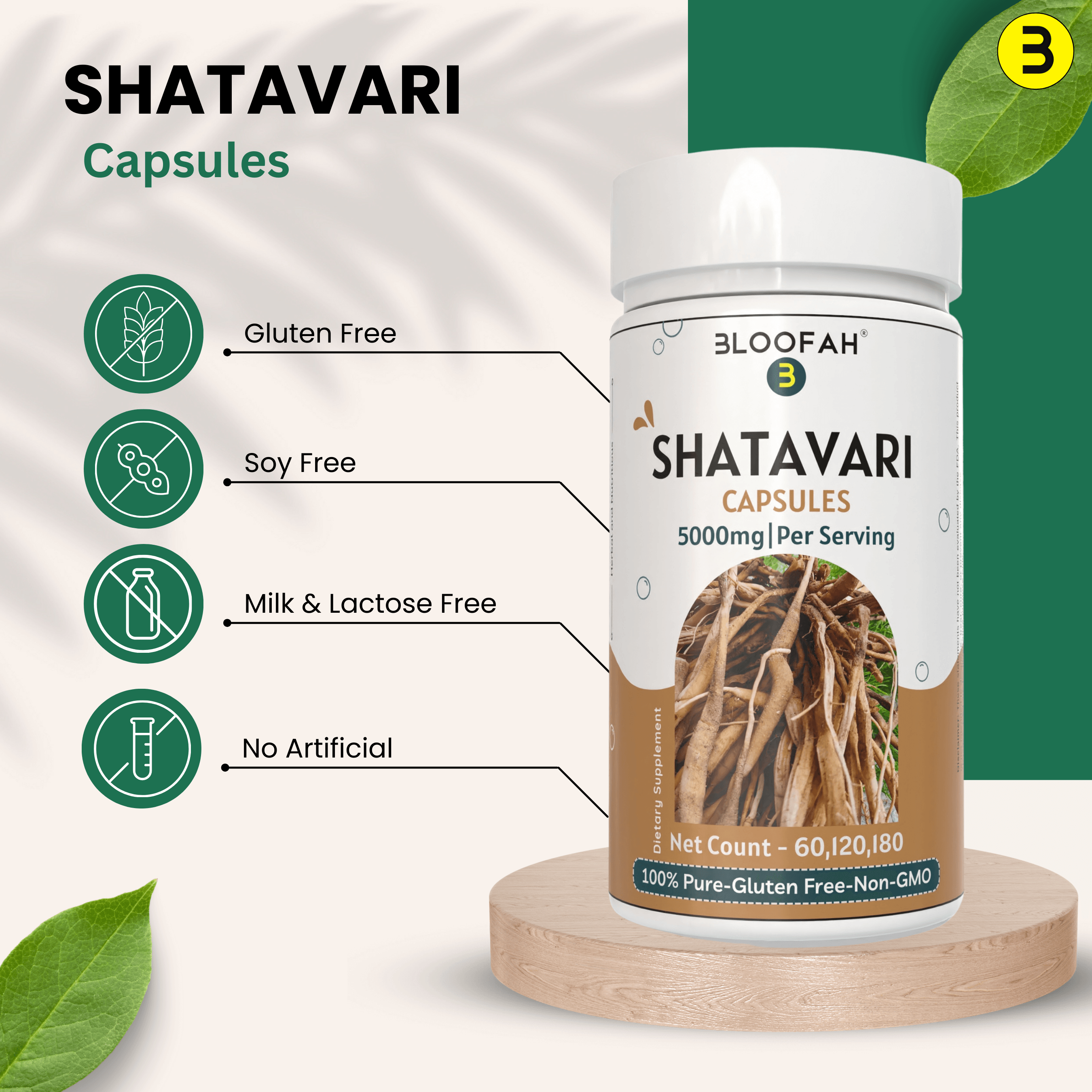 Bloofah Shatavari Root Capsules 500mg | 10:1 Extract Powder Per Serving 5000mg | Premium Herbal Supplement | Natural Asparagus racemosus for General Vitality | Non-GMO, Gluten-Free - Bloofah