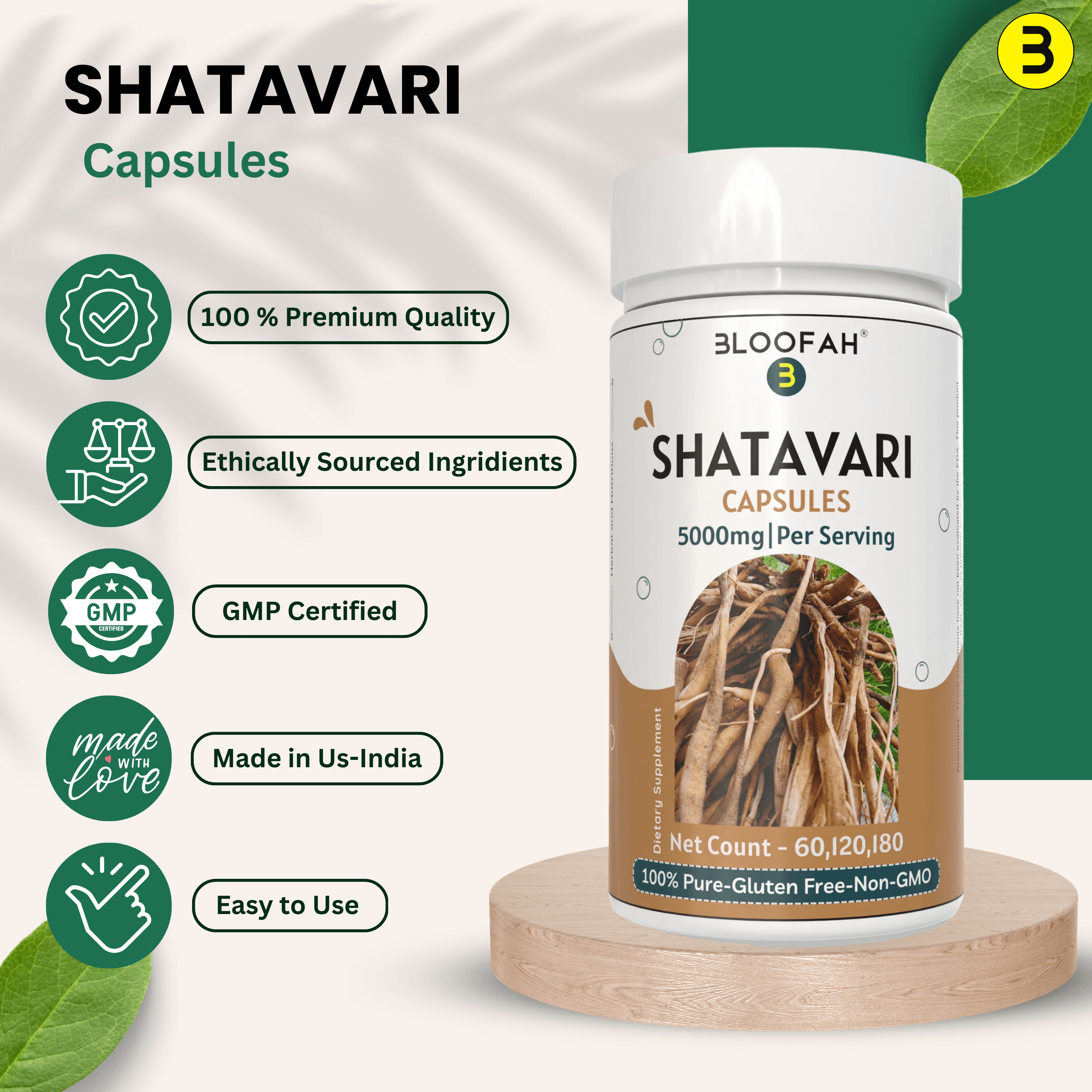 Bloofah Shatavari Root Capsules 500mg | 10:1 Extract Powder Per Serving 5000mg | Premium Herbal Supplement | Natural Asparagus racemosus for General Vitality | Non-GMO, Gluten-Free - Bloofah