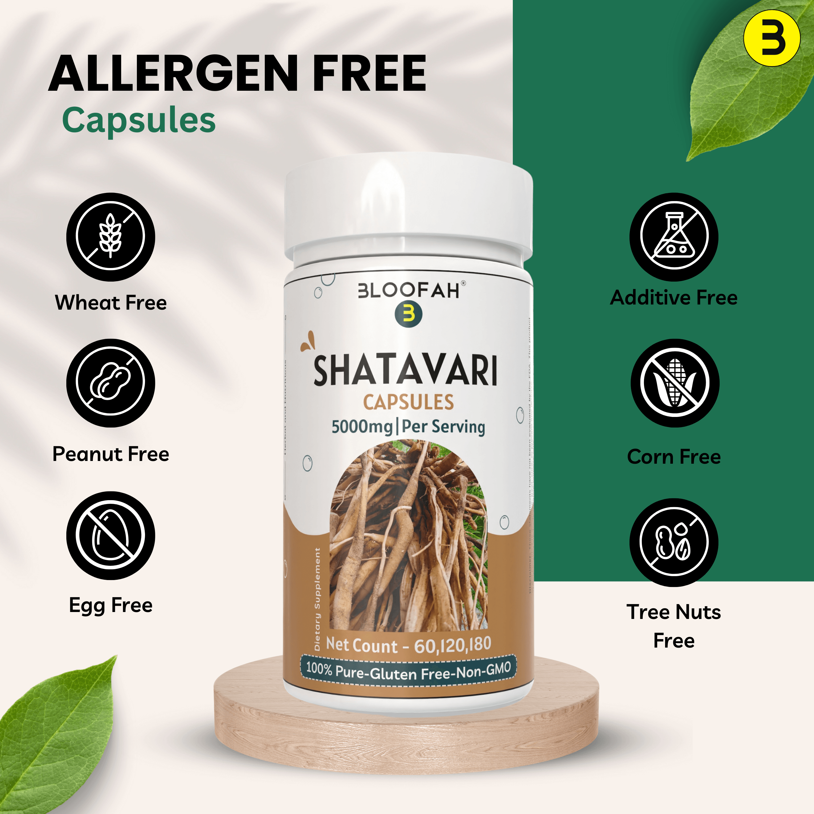 Bloofah Shatavari Root Capsules 500mg | 10:1 Extract Powder Per Serving 5000mg | Premium Herbal Supplement | Natural Asparagus racemosus for General Vitality | Non-GMO, Gluten-Free - Bloofah