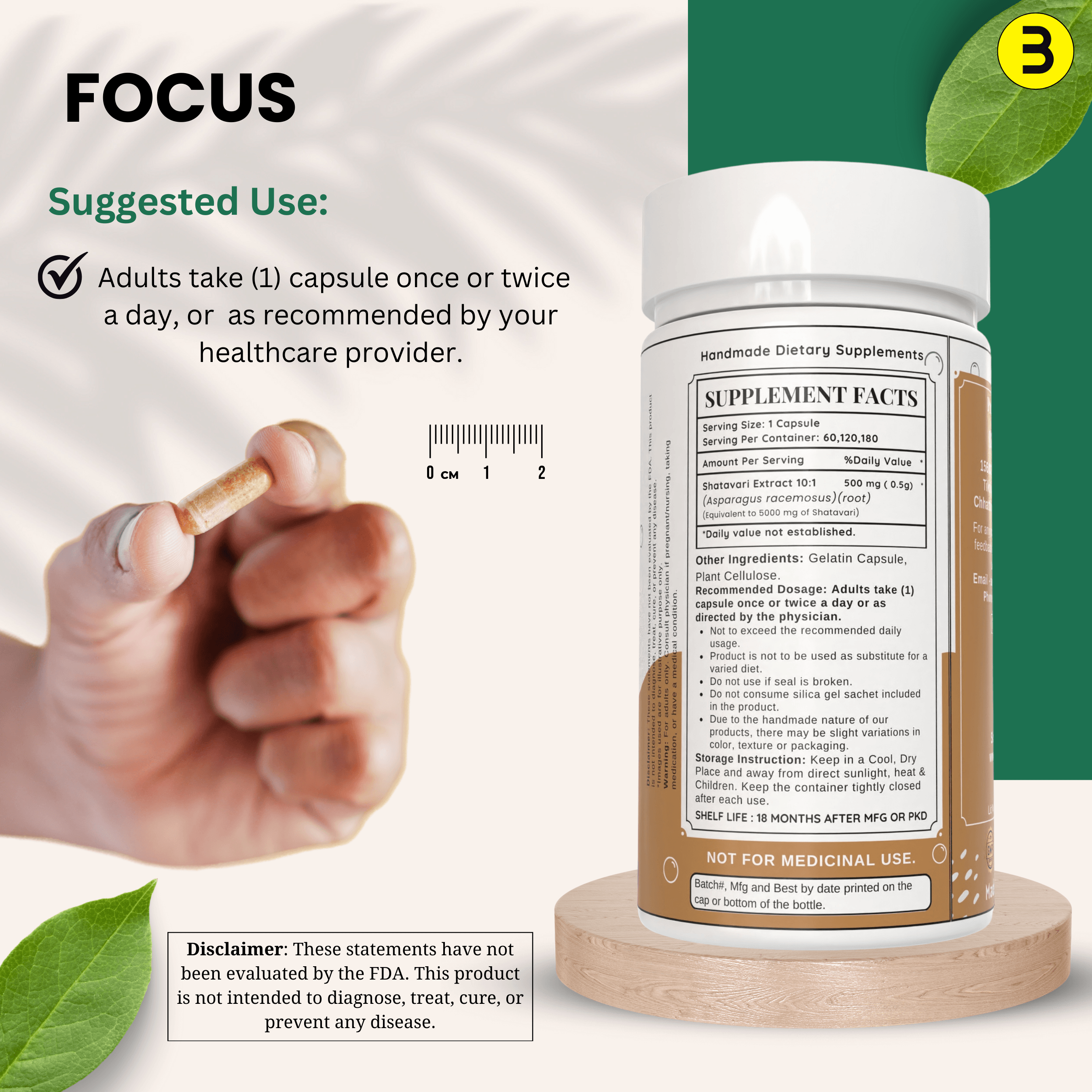 Bloofah Shatavari Root Capsules 500mg | 10:1 Extract Powder Per Serving 5000mg | Premium Herbal Supplement | Natural Asparagus racemosus for General Vitality | Non-GMO, Gluten-Free - Bloofah