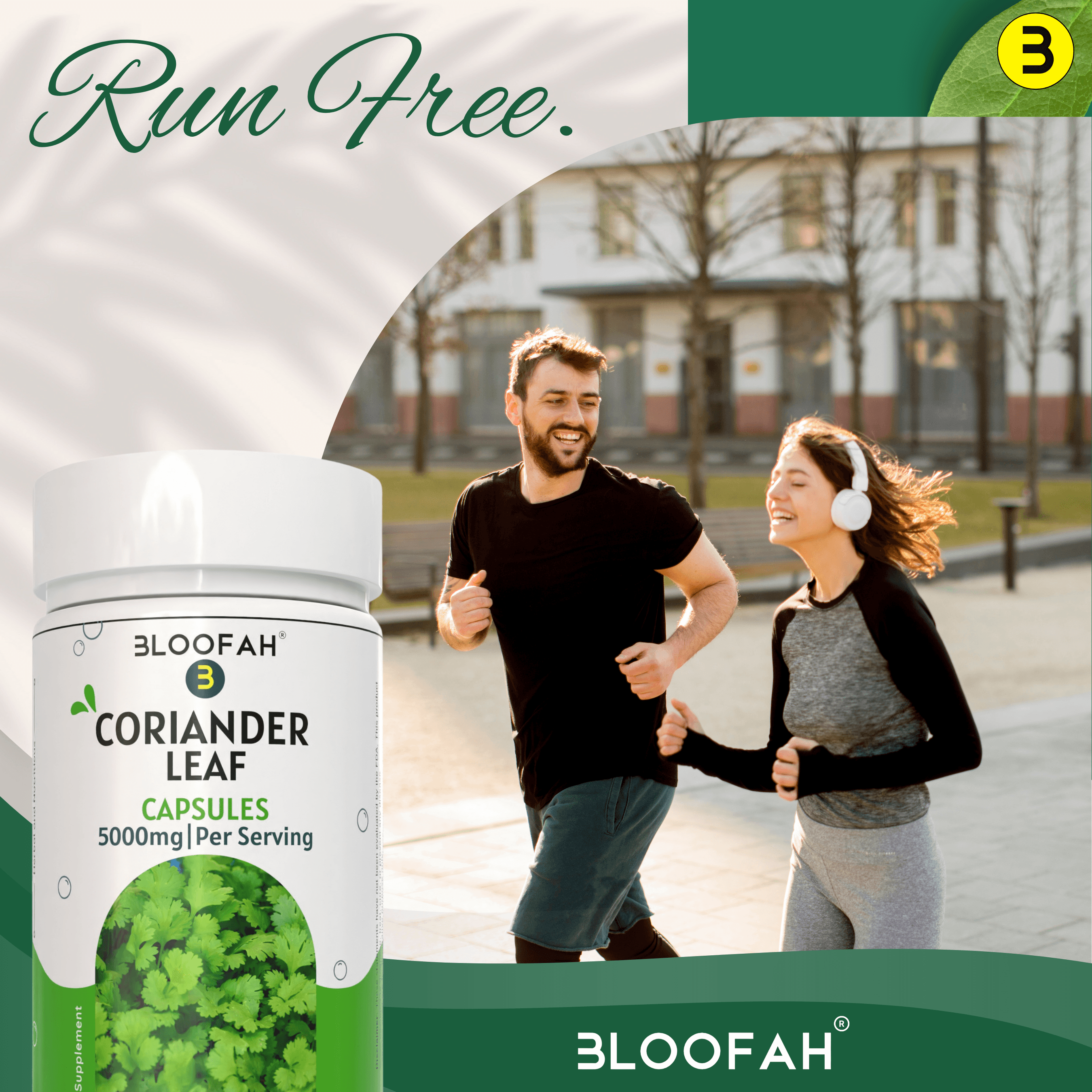 Bloofah Coriander Leaf Extract Capsules 500mg | Pure Coriander (Coriandrum sativum) Leaf Powder Extra Stength 5000mg Per Serving | Rich Vitamin A & C | Natural Body Cleansing & Detox - Bloofah