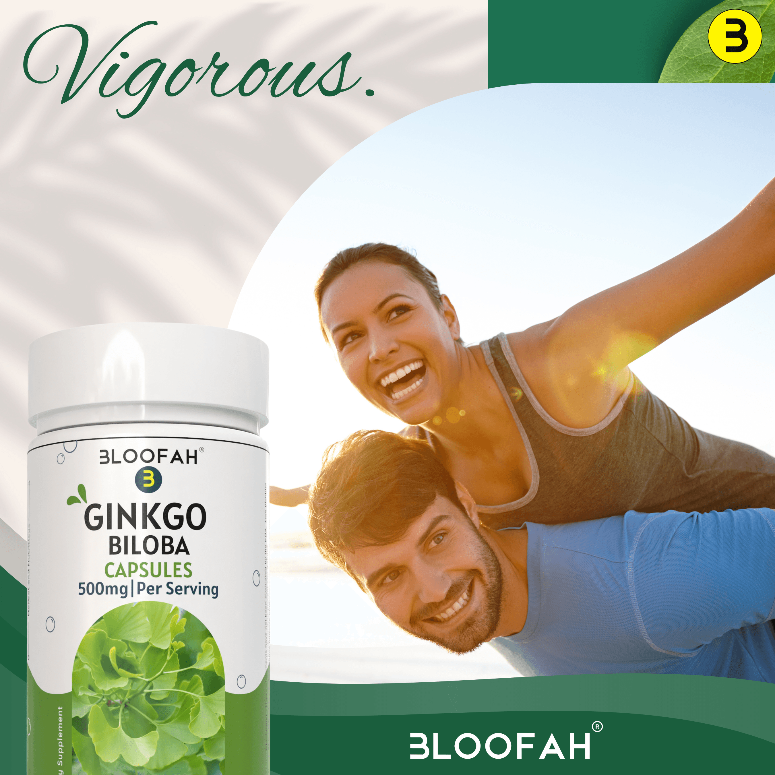 Bloofah Ginkgo Biloba Leaf Capsules 2300mg | 100% Pure Ginkgo Biloba Leaf Extract 10:1 & Powder | Non-GMO, Gluten Free Formula Health Supplement for Overall Wellbeing - Bloofah